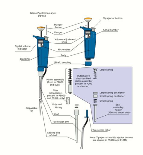 labelled diagram of a pipette canister|pipette air displacement.